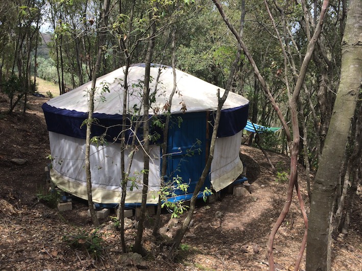 The yurt in the woods